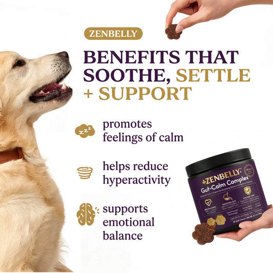 [Buy 1 Get 5 FREE Chews] ZENBELLY Dog Gut-Calm Complex, 14-In-1 Advanced Probiotics & Calming Soft Chews for Separation Anxiety, Stress Relief & Digestive Support, Savory Beef Liver Flavor, 60 Chews Outdoorfun