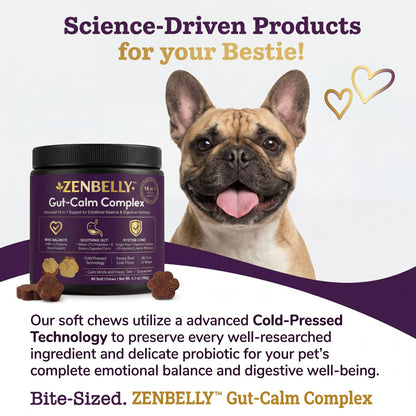 [Buy 1 Get 5 FREE Chews] ZENBELLY Dog Gut-Calm Complex, 14-In-1 Advanced Probiotics & Calming Soft Chews for Separation Anxiety, Stress Relief & Digestive Support, Savory Beef Liver Flavor, 60 Chews Outdoorfun
